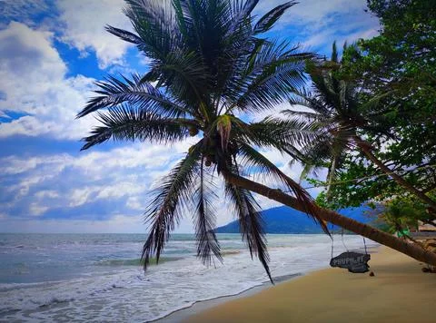 Palm trees lean over the shore on a beach with waves and clouds in the sky... Stock Photos
