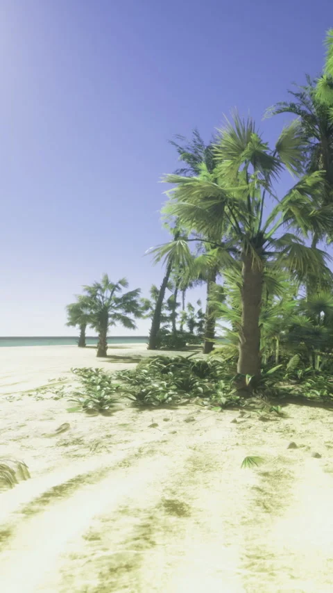 Palm trees line the beach with clear blue sky and ocean in the background Stock Footage 331677618