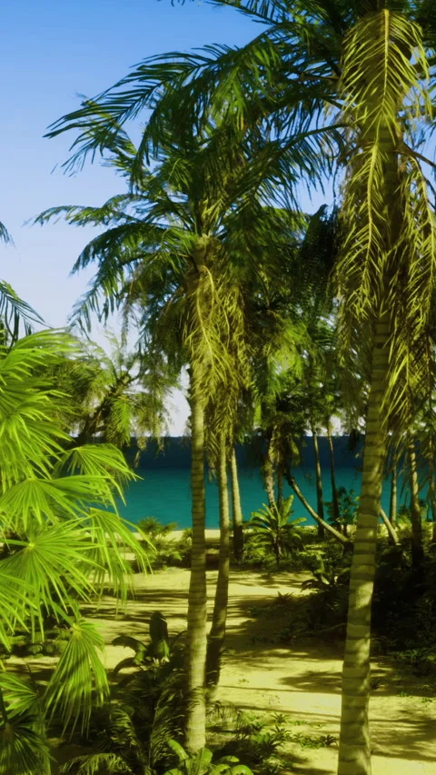 Palm trees line a sandy beach with blue water in the background on a sunny day Stock Footage 331677682