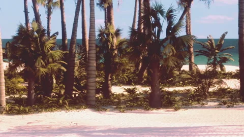 Palm trees line a sandy beach with clear blue water in the background Stock Footage 344275724