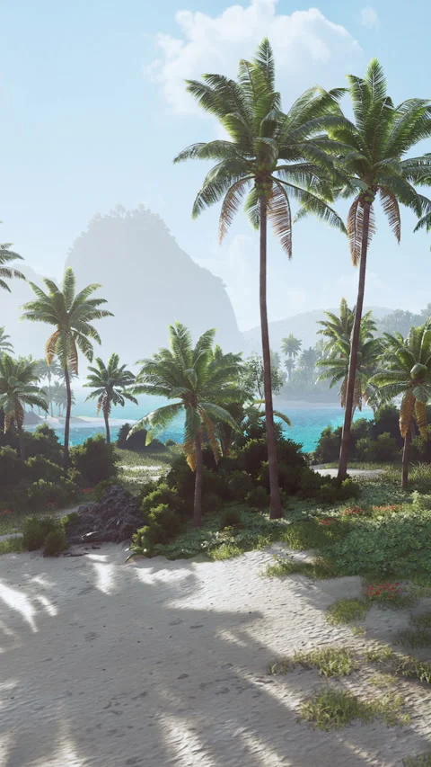 Palm trees line a sunny beach with clear water and mountains in the background Stock Footage 342105754