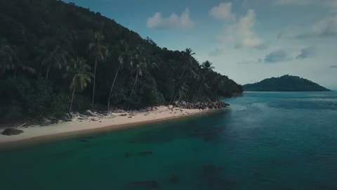 Palm trees lining the shore of tropical island, merging with turquoise waters of Stock Footage 312750110