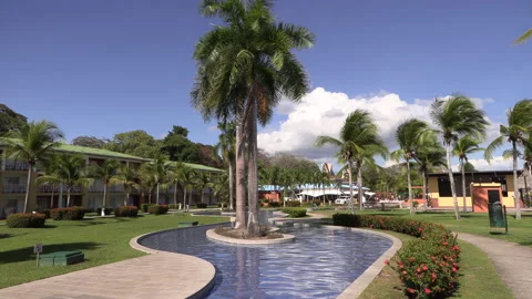 Palm trees in the middle of a swimming pool in a tourist complex. Hotel Stock Footage 170522474