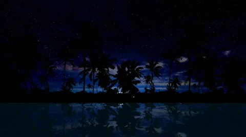 Palm Trees Moonrise Видео 717260