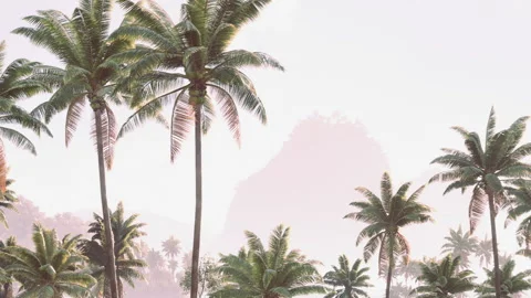 Palm trees with mountains in the background during a sunset light Stock Footage 344172325