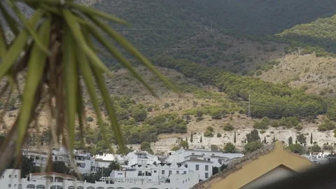 Palm trees, with the mountains in the background Stock Footage 81677941