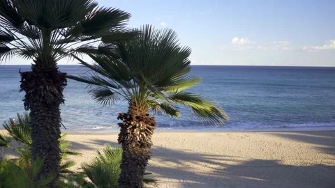 Palm trees moved by the air with empty beach and sea in the background seen from Stock Footage 218586395