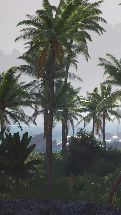 Palm trees near the coast with hints of water in the background during the day Stock Footage 341055018
