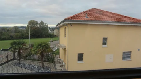 Palm Trees Near House Stock Footage 99054341