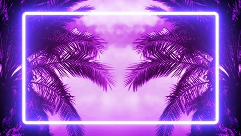 Palm trees NEON Stock Footage 114240342