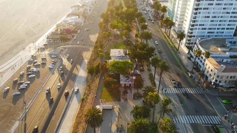 Palm Trees next to the Beach In Santa Monica California Aerial View Stock Footage