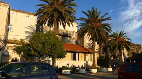 Palm Trees Next To Old Building Stock Footage 54897801