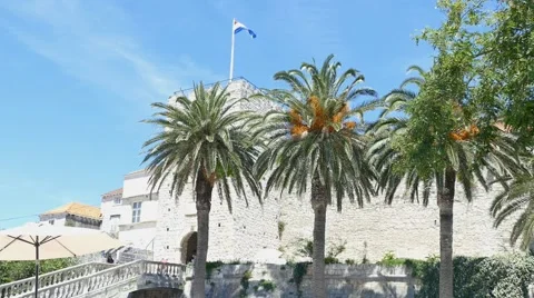 Palm Trees Next To Old City Walls Stock Footage 54897403
