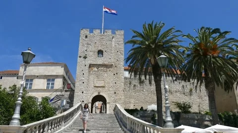 Palm Trees Next To Old City Walls Stock Footage 54897538