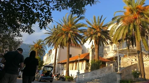 Palm Trees Next To Old City Walls Stock Footage 54897645