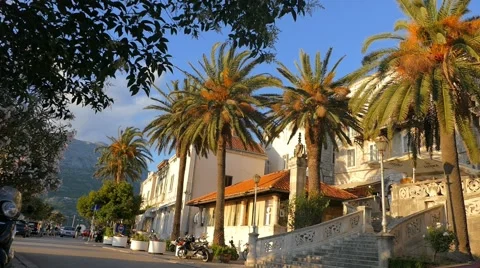 Palm Trees Next To Old City Walls 動画素材 54897678