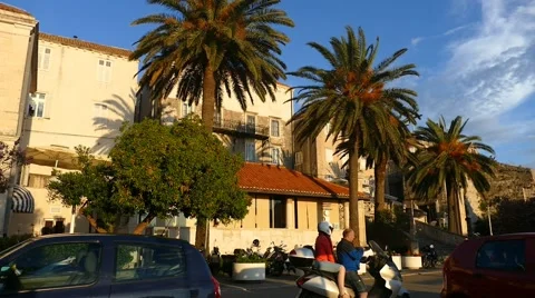 Palm Trees Next To Old City Walls Stock-Footage 54898266