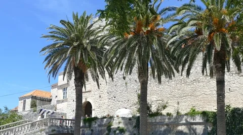 Palm Trees Next To Old City Walls Stock Footage 54898332
