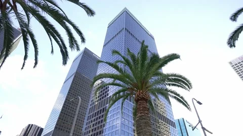 Palm trees next to skyscraper buildings downtown Los Angeles. LA offices, hotels Stock Footage 164333684