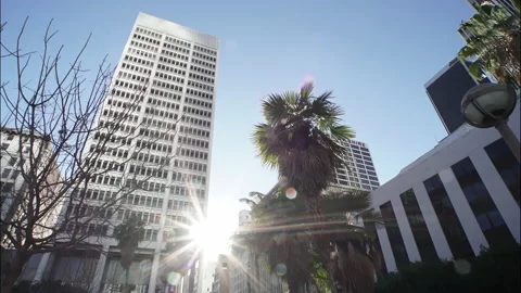 Palm trees next to skyscraper buildings Downtown Los Angeles. Timelapse Stock Footage 169401862