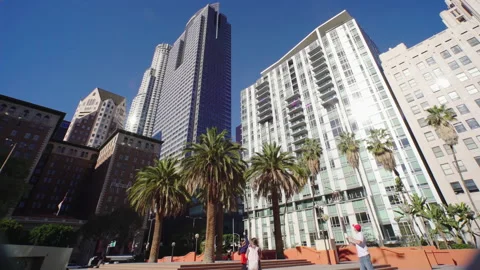 Palm trees next to skyscraper buildings Downtown LA CA Stock Footage 170192786