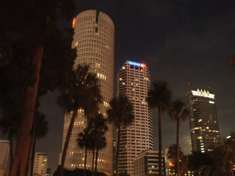 Palm Trees at Night Video stock 285935