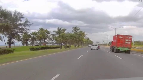 Palm trees, ocean, camera in front of the car Stock Footage 128054500