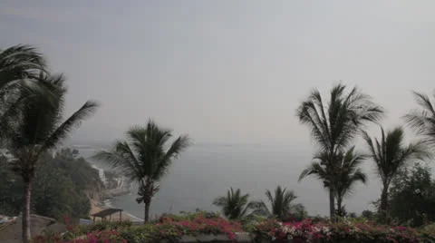 Palm Trees, Ocean, Flowers Stock Footage 22428500