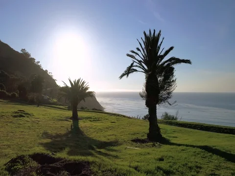 Palm trees over a blue water cove Stockbeeldmateriaal 78107571