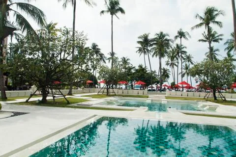 Palm trees over the pool Stock Photos