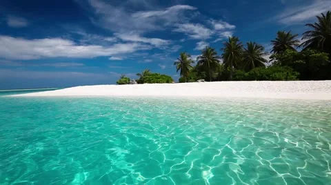 Palm trees over tropical lagoon with white beach in Maldives Stock Footage
