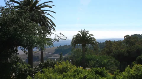 Palm trees overlook the Pacific Video stock 27558088