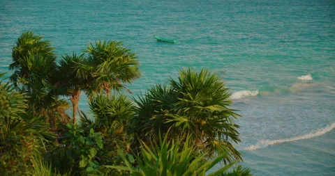 Palm trees overlook small boat and blue sea waves in Tulum Mexico Stock Footage 341446676