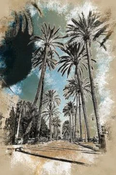 Palm trees in Palma de Mallorca Stock Illustration