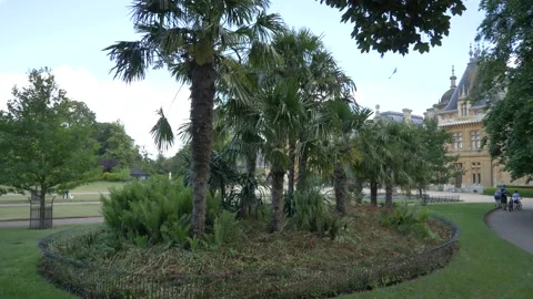 Palm trees in the park in england Video stock 133201772
