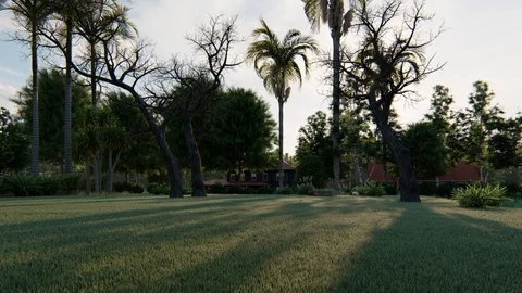 Palm trees in the park Stock Footage 122198034