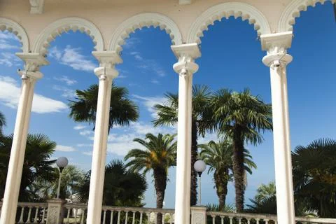 Palm trees in park Stock Photos