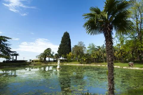 Palm trees in park Stock Photos