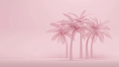 Palm trees on pink studio background. Abstract loop animation Stock Footage 165113660