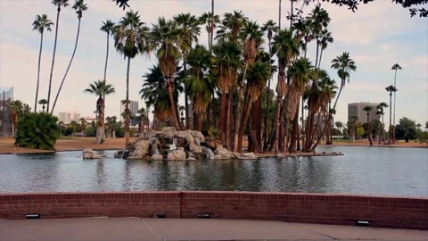 Palm trees in the pond Stock Footage 167518486