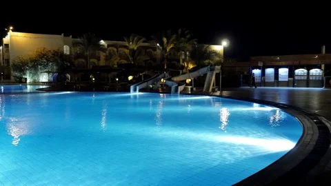 Palm Trees by the Pool Video stock 87992519