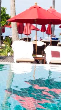 Palm trees at the pool Stock Photos