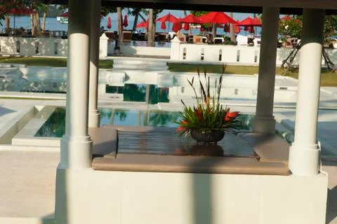 Palm trees at the pool Stock Photos