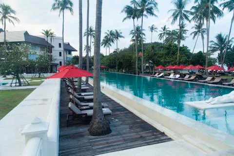 Palm trees at the pool Stock Photos