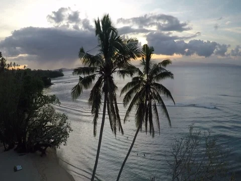 Palm Trees on a private beach Stock Footage 74117484