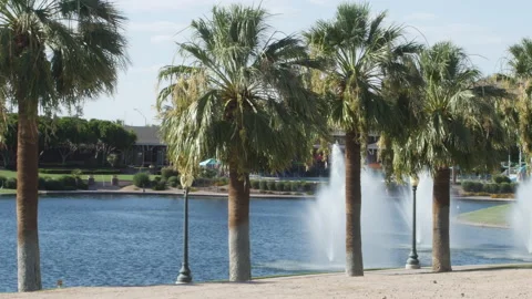 Palm trees on a private lake 스톡 동영상 142048707