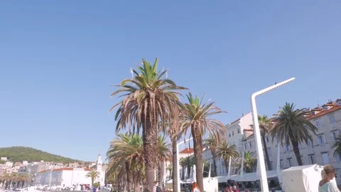 Palm trees at the promenade of Split, Croatia Stock Footage 83636202