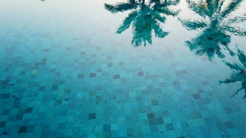 Palm trees reflect in blue pool during sunset, 4K Video stock 120952174