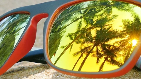 Palm trees reflect in the sunglasses Stock Footage 102595036