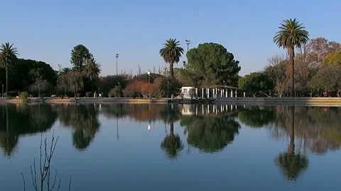 Palm trees reflected on a lake at the park Parque General San Martin Stock Footage 136868093